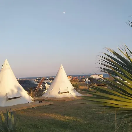 Orman Evi Sardunya Surfing İmroz
