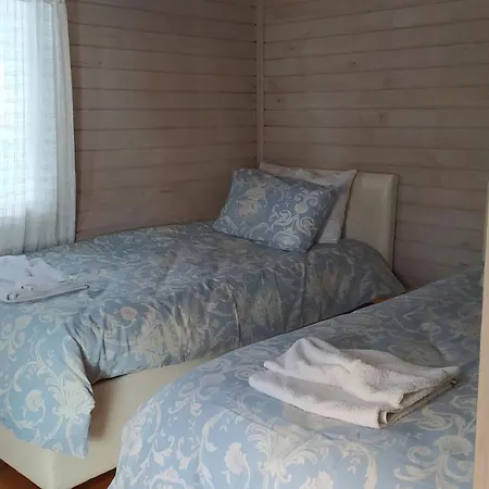Orman Evi Sardunya Surfing