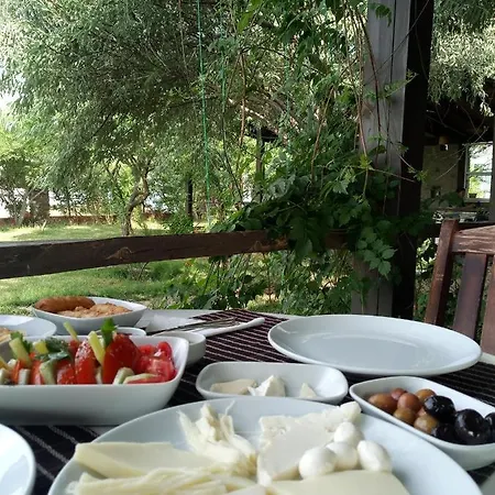 Sardunya Surfing Orman Evi *