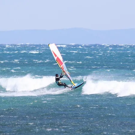 Sardunya Surfing
